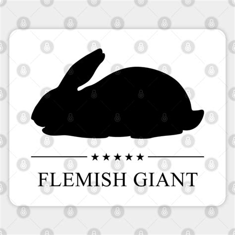 Flemish Giant Bunny Svg Png Dxf Download Rabbit Clipart Black And Wh