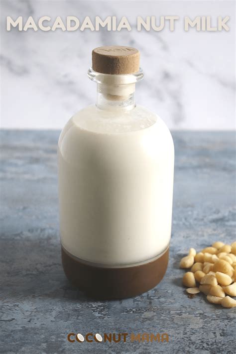 How To Make Macadamia Nut Milk - The Coconut Mama