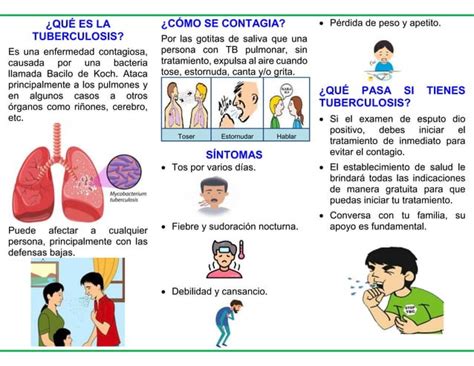 Tr Ptico Sobre La Tuberculosis Detallado Pdf