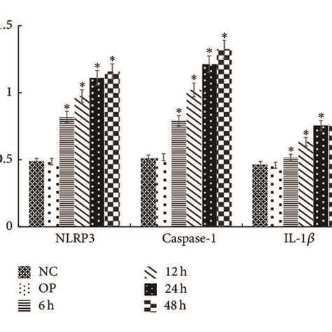 The Mrna Expression Of Nlrp Caspase And Il In Mesangial Cells