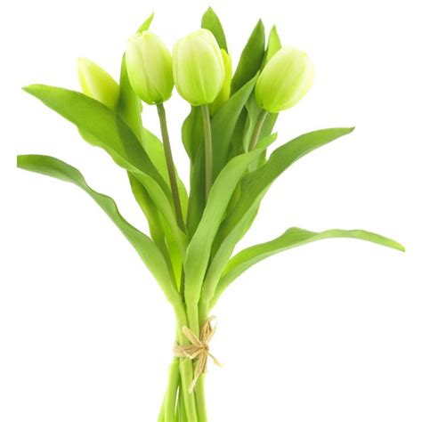 Acheter Des Tulipe Artificielle Libia Blanc Vert Cm