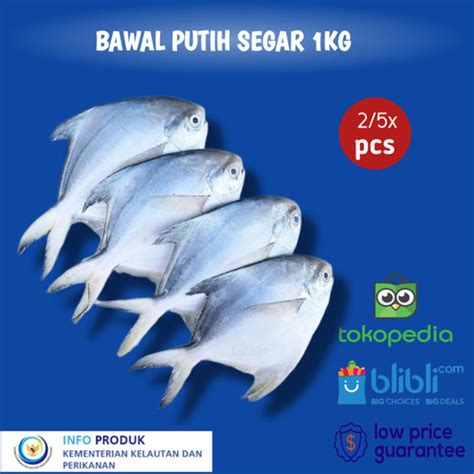 Jual Ikan Bawal Putih Segar Besar Kg Isi Ekor Kota Tangerang