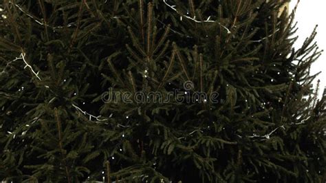 Christmas Tree Decorated with Twinkling Lights Shot Stock Footage ...