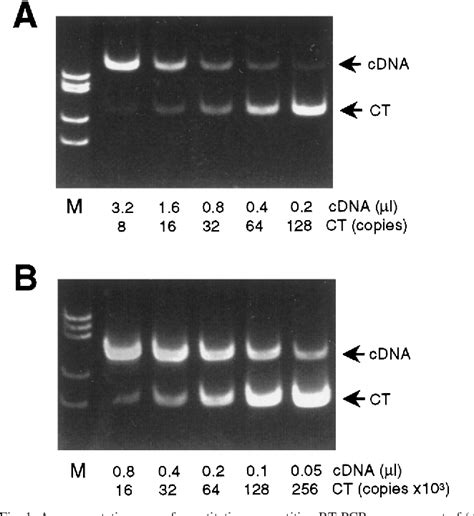 PDF Sex Differences In Lung CYP1A1 Expression And DNA Adduct Levels