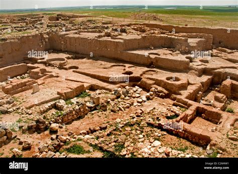 Ebla High Resolution Stock Photography And Images Alamy