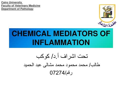 Ppt Chemical Mediators Of Inflammation Powerpoint Presentation Free