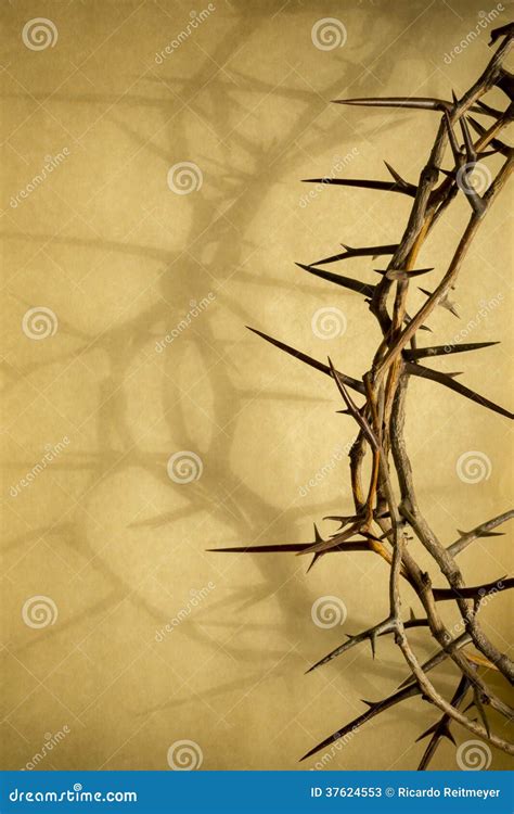 Crown Of Thorns Represents Jesus Crucifixion On Good Friday Stock Image