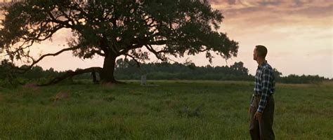 Forrest Gump looking back at the tree with Jenny's grave next to it | Forrest gump, Forrest gump ...