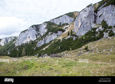 Steinerne Tor 2014 Stock Photo - Alamy