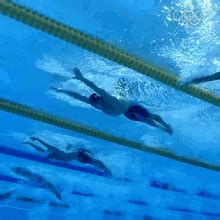 Butterfly Stroke Swimming Michael Phelps GIF - Butterfly Stroke Swimming Michael Phelps Olympics ...