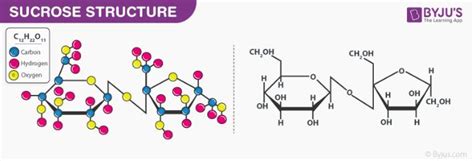 Chemical Makeup Of Sucrose | Saubhaya Makeup