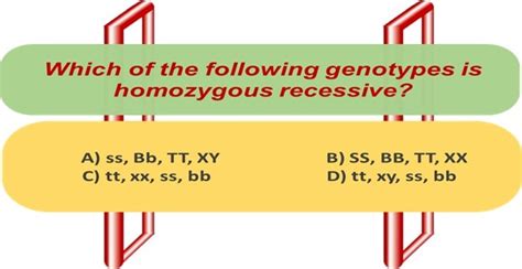 Which of the following genotypes is homozygous recessive? - Biology Brain