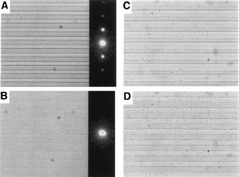 Design Of Surfaces For Patterned Alignment Of Liquid Crystals On Planar