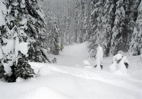 Revelstoke Cat Skiing | Revelstoke Cat Ski | Powder Skiing