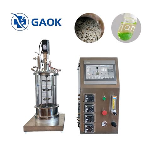 High Quality Bioreactor Jacketed Glass Bioreactor Fermenter For Cell