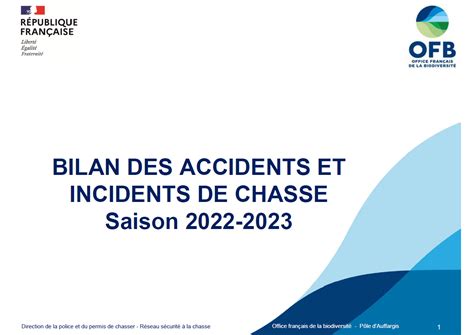 Bilan Des Accidents Incidents De Chasse 2022 2023 Un Niveau