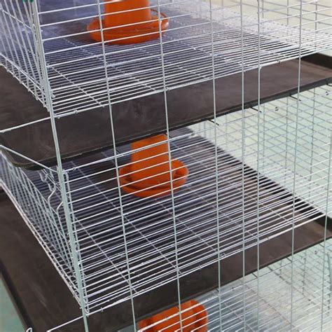 Customized H Type 4 Tiers Bird Harvesting Broiler Raising Cage For