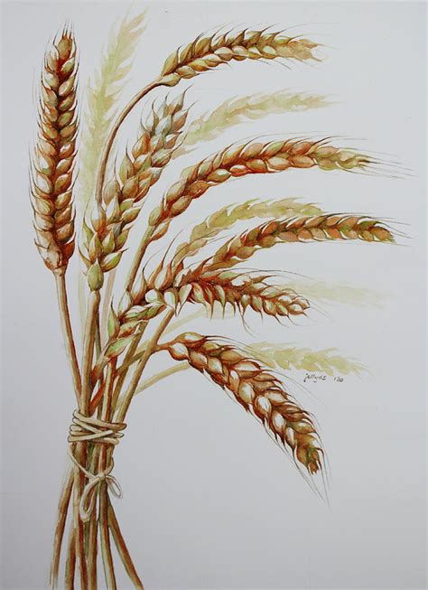 Wheat Stalks 120 Painting by Jelly Starnes