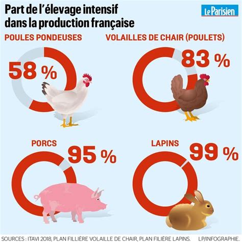 Bien être animal peut on se passer de lélevage intensif Le Parisien