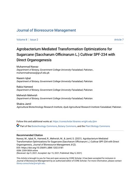 Agrobacterium Mediated Transformation Optimizations For Sugarcane