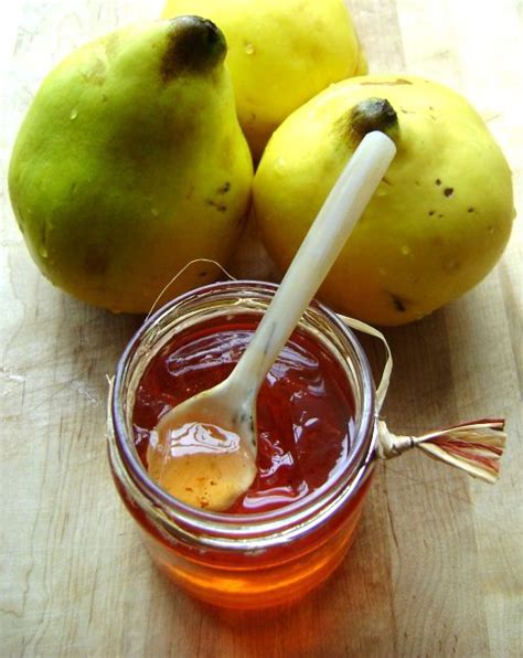 Gel E De Pommes Ou Comment Recycler Epluchures Et Trognons Tartine