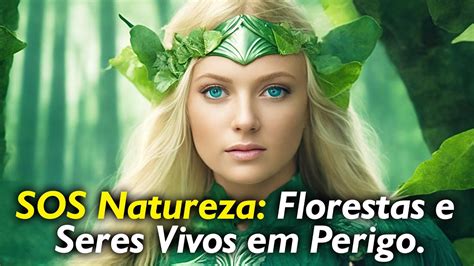 Sos Natureza Florestas E Seres Vivos Em Perigo Youtube