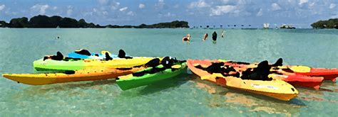 Book Now Guided Tours Happy Paddler Kayak Tours