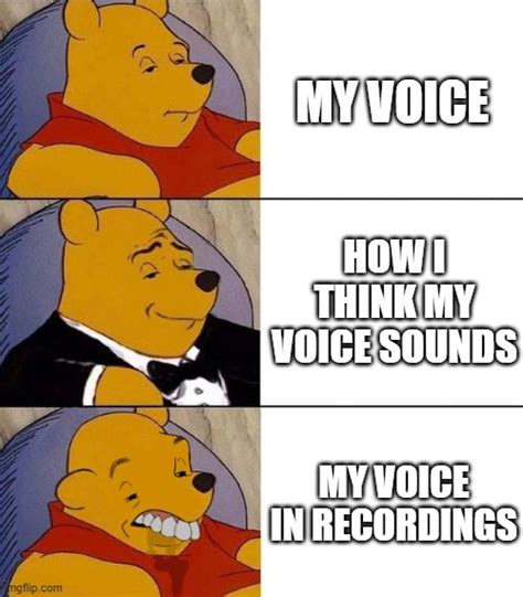 Either it's my voice or the app - Imgflip