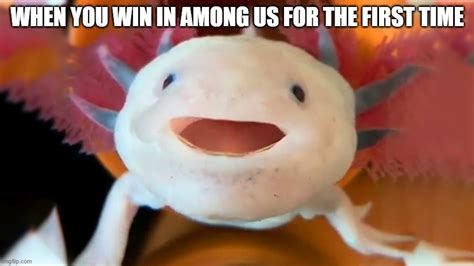 axolotl Memes & GIFs - Imgflip