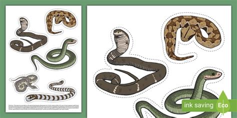 Snake Clip Art Cut-Outs (Teacher-Made) - Twinkl