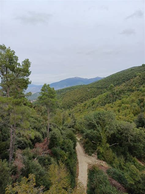 La Ferrovia Spoleto Norcia In MTB Viadamilano