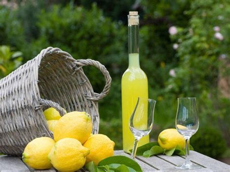 El Limoncello Una Receta Tradicional Que Transmite Recuerdos Itc Rdoba