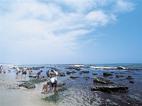 茨城県のおすすめのビーチ・海水浴場【2023年版】 期間やイベント、海の家の軒数など情報満載｜まっぷるトラベルガイド