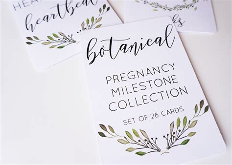 Pregnancy Milestone Cards | Botanical - Paper Halo