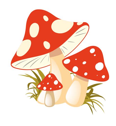 Mushrooms clipart autumn, Mushrooms autumn Transparent FREE for download on WebStockReview 2024