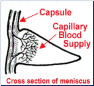 Meniscus Repair vs. Removal — The Knee and Shoulder Centers