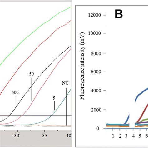 Amplification Plots Of Real Time Measurements For 10 Fold Serial