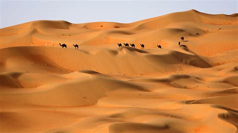 شركة عجلات قلب الصحراء, Western Sahara (0528990030)