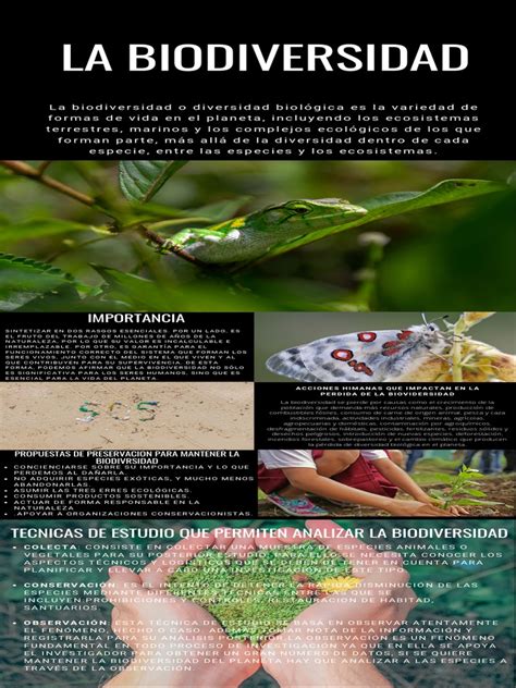 Infografia Biodiversidad Pdf Biodiversidad Residuos