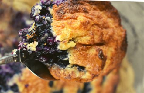 Old Fashioned Blueberry Cobbler Recipe These Old Cookbooks