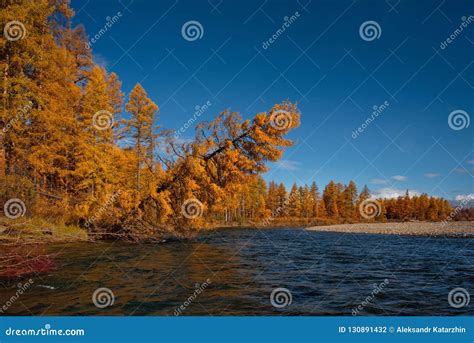 The Colours Of Autumn Are Cold Water Rivers Of Magadan Stock Photo