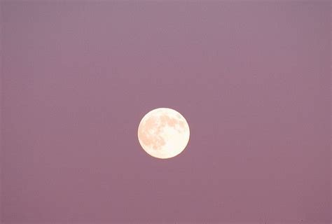 full moon pink sky | Pink sky, Moon pictures, Sky moon