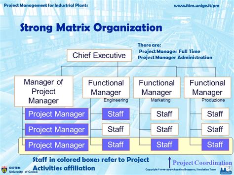 Project Management For Industrial Plant Strong Matrix Organization