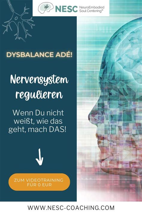 Nervensystem Regulieren In Nervensystem Mensch Nervensystem