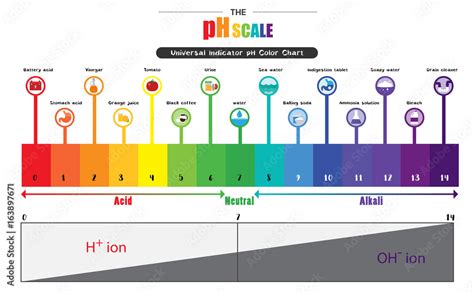 The pH scale Universal Indicator pH Color Chart diagram Stock Vector ...