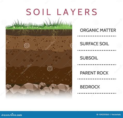 Soil Cartoons Illustrations And Vector Stock Images 239819 Pictures To