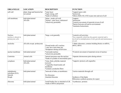 Cell Organelles Function Table