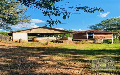 Fazenda De Alqueires A Venda Em Campanha Mg