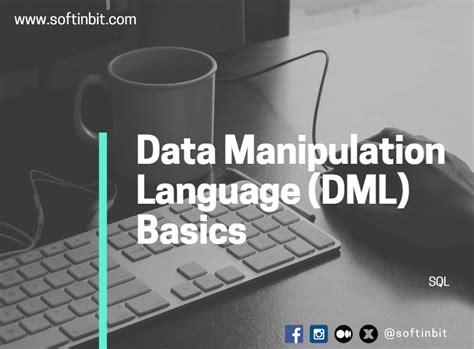 Data Manipulation Language Dml Basics By Softinbit Dev Genius