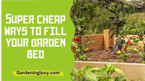 13 Ways How To Fill A Raised Garden Bed Cheap